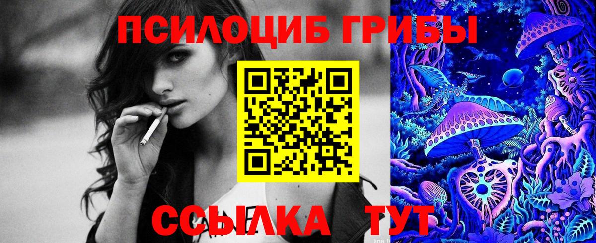 Галлюциногенные грибы MAGIC MUSHROOMS  Галлюциногенные грибы Psilocybine cubensis  Вход с VPN  где продают   Зеленокумск 